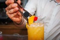 Bartender preparing cocktail Royalty Free Stock Photo