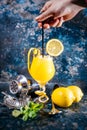 Bartender preparing vodka alcoholic cocktail with ice and mint. Cocktail drinks served at restaurant, pub or bar Royalty Free Stock Photo