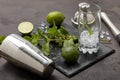 Bartender`s tool,  Mojito cocktail Royalty Free Stock Photo