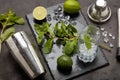 Bartender`s tool,  Mojito cocktail Royalty Free Stock Photo