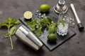 Bartender`s tool,  Mojito cocktail Royalty Free Stock Photo