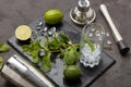 Bartender`s tool,  Mojito cocktail Royalty Free Stock Photo