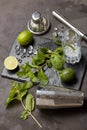 Bartender`s tool,  Mojito cocktail Royalty Free Stock Photo