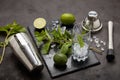 Bartender`s tool,  Mojito cocktail Royalty Free Stock Photo