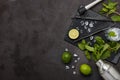 Bartender`s tool,  Mojito cocktail Royalty Free Stock Photo