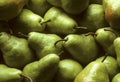 Bartlet Pears Royalty Free Stock Photo