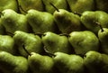 Bartlet pears Royalty Free Stock Photo