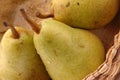 Bartlett pears horizontal Royalty Free Stock Photo