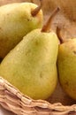 Bartlett pears vertical close Royalty Free Stock Photo