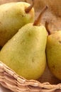 Bartlett pears vertical close