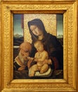 Bartolomeo Montagna: Madonna with the Child Royalty Free Stock Photo