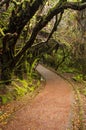 Barva Volcano National Park - Costa Rica