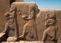 Bas Relief Carvings of Dignitaries and Representatives Bringing Gifts to the King in Persepolis Royalty Free Stock Photo