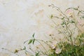 Bas-relief made of wildflowers and gypsum - wall and frame decoration