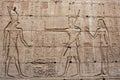 Bas-Relief on the wall - Temple of Edfu - Egypt Royalty Free Stock Photo