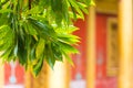 The bas-relief on the wall of the temple in Louangphabang, Laos. Close-up. Royalty Free Stock Photo