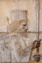 Bas-reliefs of a soldier in Persepolis Iran Royalty Free Stock Photo