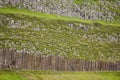 Basalt block rock formation in Feroe islands. Geology volcanic