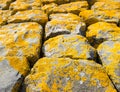 Basalt blocks with yellow lichen overgrown