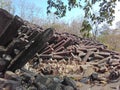 Basalt Column Rock Formations India