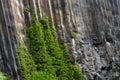 Basalt columns curvy detail Royalty Free Stock Photo