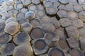 Basalt columns of Giants Causeway Royalty Free Stock Photo