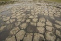 Basalt columns photographed in Iceland