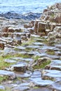Basalt columns in the rain, at the Giants Causeway and Cliffs, Northern Ireland Royalty Free Stock Photo