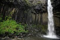 Basalt columns at Svartifoss