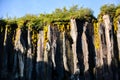 Basalt columns of Svartifoss waterfall, Iceland in summer. Royalty Free Stock Photo