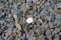 Basalt gravel Royalty Free Stock Photo