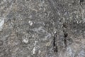 Basalt rock backdrop texture, grunge textured surface of stony material. Royalty Free Stock Photo