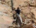 Basalt Rock Climber 1
