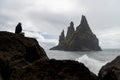 Basalt rock formations Troll toes on black beach. Reynisdrangar, Vik, Icelan Royalty Free Stock Photo