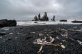 Basalt rock formations Troll toes on black beach. at storm Reynisdrangar, Vik, Iceland Royalty Free Stock Photo