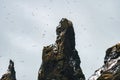 Basalt rock formations Troll toes on black beach. at storm Reynisdrangar, Vik, Iceland Royalty Free Stock Photo