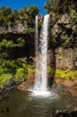 Basalt rock wall, partially covered in lush green rainforest vegetation