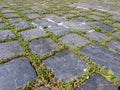 Basalt stone blocks pavement steps with green moss background Royalty Free Stock Photo