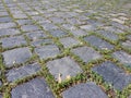 Basalt stone blocks pavement steps with green moss background Royalty Free Stock Photo