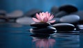 Basalt Stones for Spa Massage and Lotus Flower against Tranquil Water - Generative AI