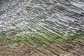 Natural texture. Pattern in Basalt Rocks, Geometric Pattern with Moss and Algae, Heimaey, Westman Isles, Iceland. 