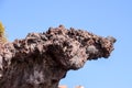 Basaltic Lava Formation Royalty Free Stock Photo