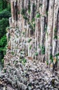 Basaltic Prisms Canyon of Santa Maria Regla, Huasca de Ocampo, Mexico. May 16th