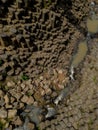 Basaltic prisms in Huasca de Ocampo. Ecotourism concept. Geological formations Royalty Free Stock Photo