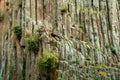 Basaltic Prisms of Santa Maria Regla. Mexico