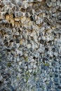 Basaltic rocks in Asbyrgi, Jokulsargljufur, Iceland