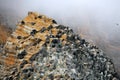 Basaltic rocks formations Royalty Free Stock Photo