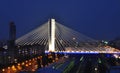 Basarab bridge, Bucharest, Romania Royalty Free Stock Photo