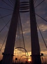 Basarab bridge at sunset
