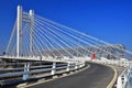 Basarab Overpass brigde in Bucharest, Romania